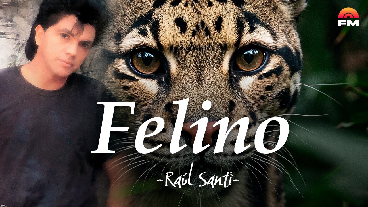 Felino - Raúl Santi | Balada | Video Letra