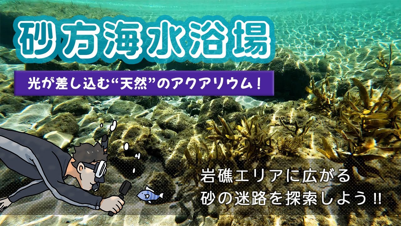 天然アクアリウムに広がる砂の迷路で遊ぼう！  Sand Maze in A Natural Aquarium｜砂方海水浴場｜京丹後｜京都