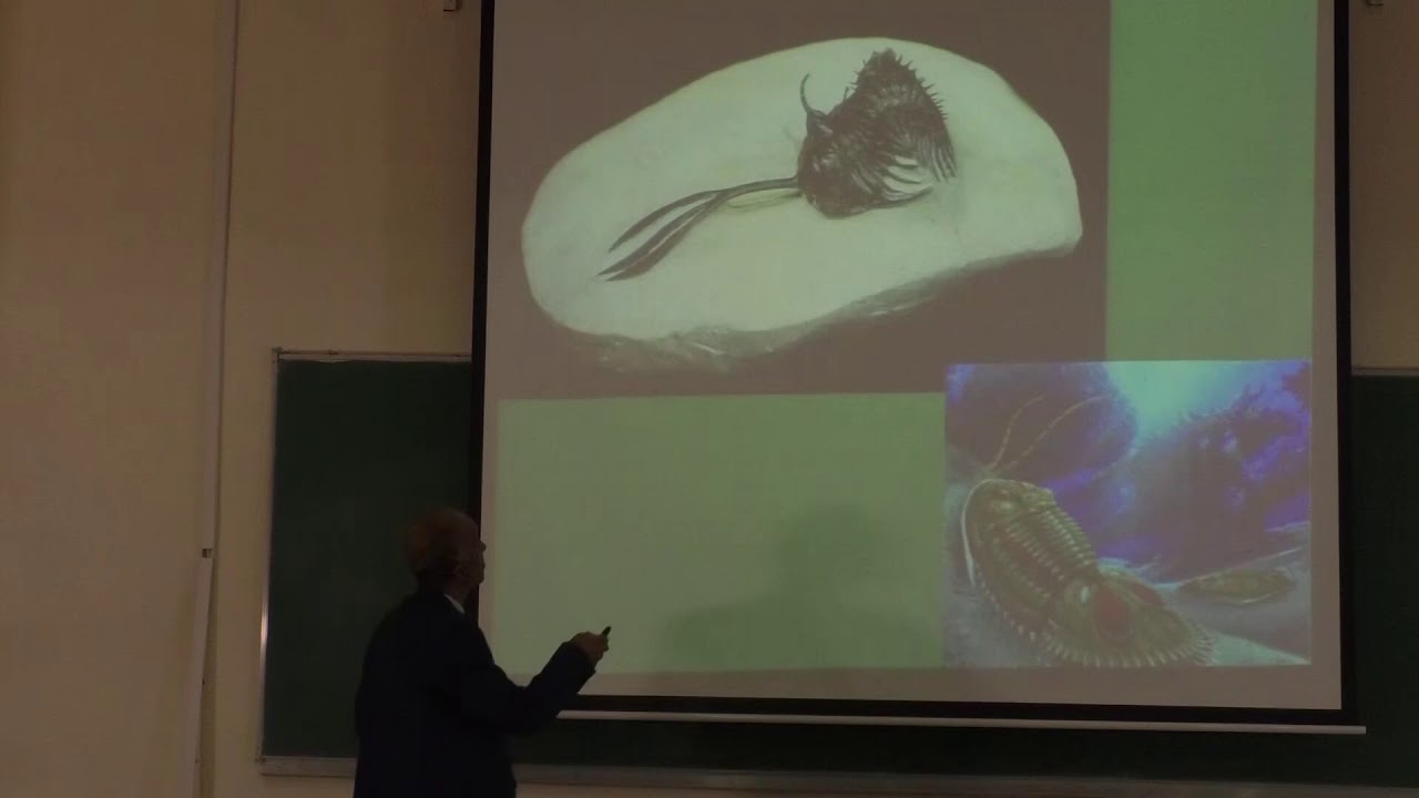 cours de paléo environnement et paléontologie évolutive_partie_2