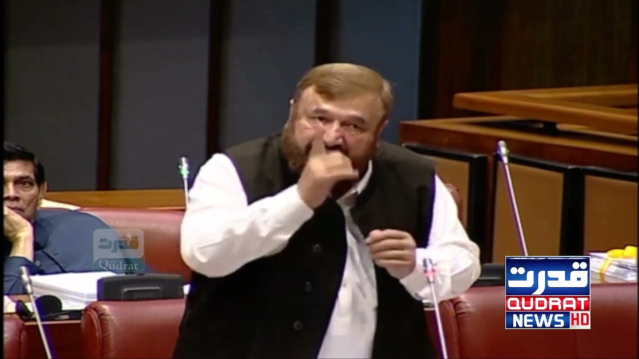 Islamabad | PMLN Pir Sabir Shah Speech in Senate of Pakistan  | 17 June 2022 | Daily Qudrat