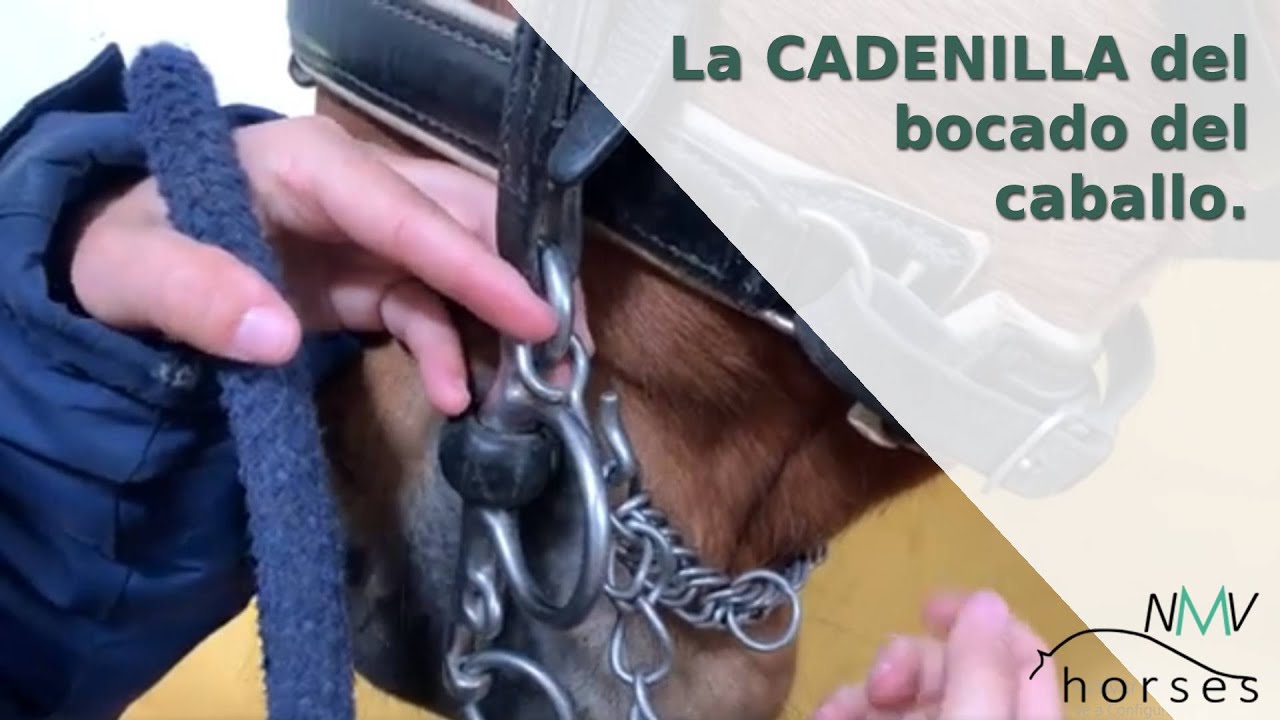 🐴La CADENILLA🐴 Hierros del caballo🐴