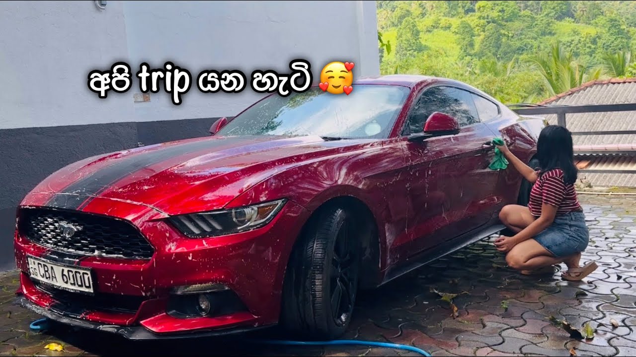 අපි trip යන හැටි 🤩 සීගිරියේ ගියා ❤️ Family Trip to Sigiriya Lion Rock - Travel Vlog