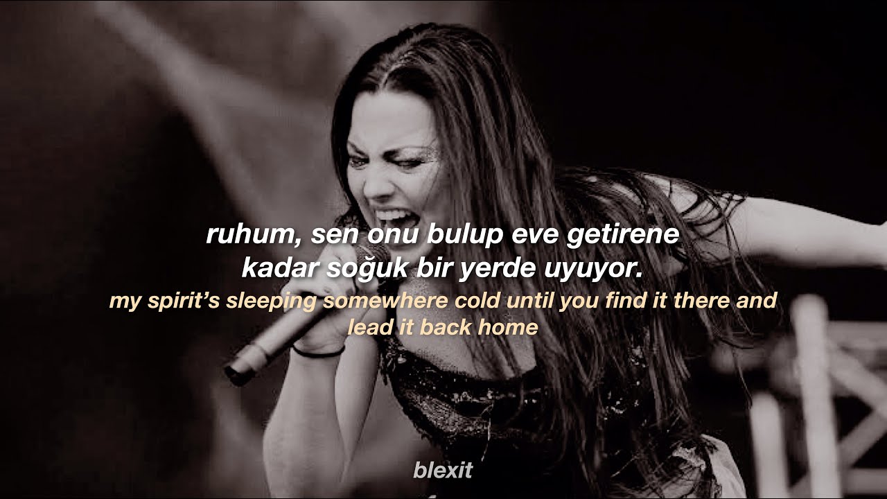 Evanescence - Bring Me To Life (Türkçe çeviri) | blexit