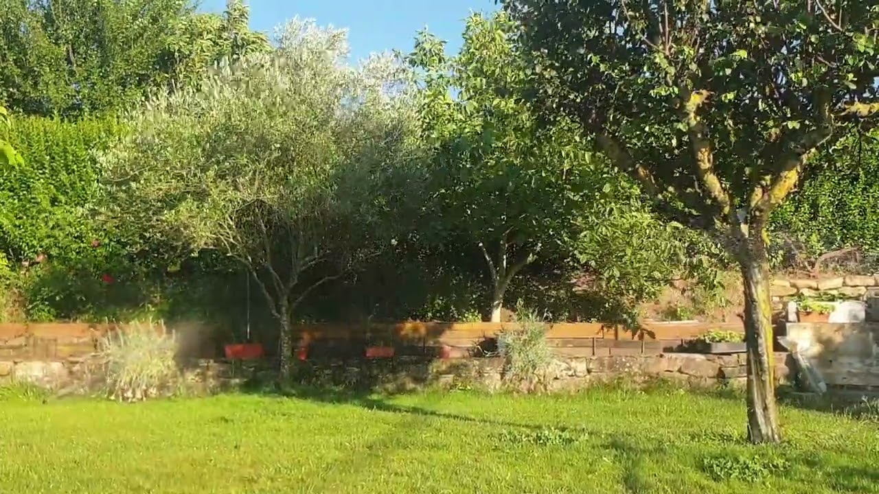 Sonido relajante de aspersores en el jardín