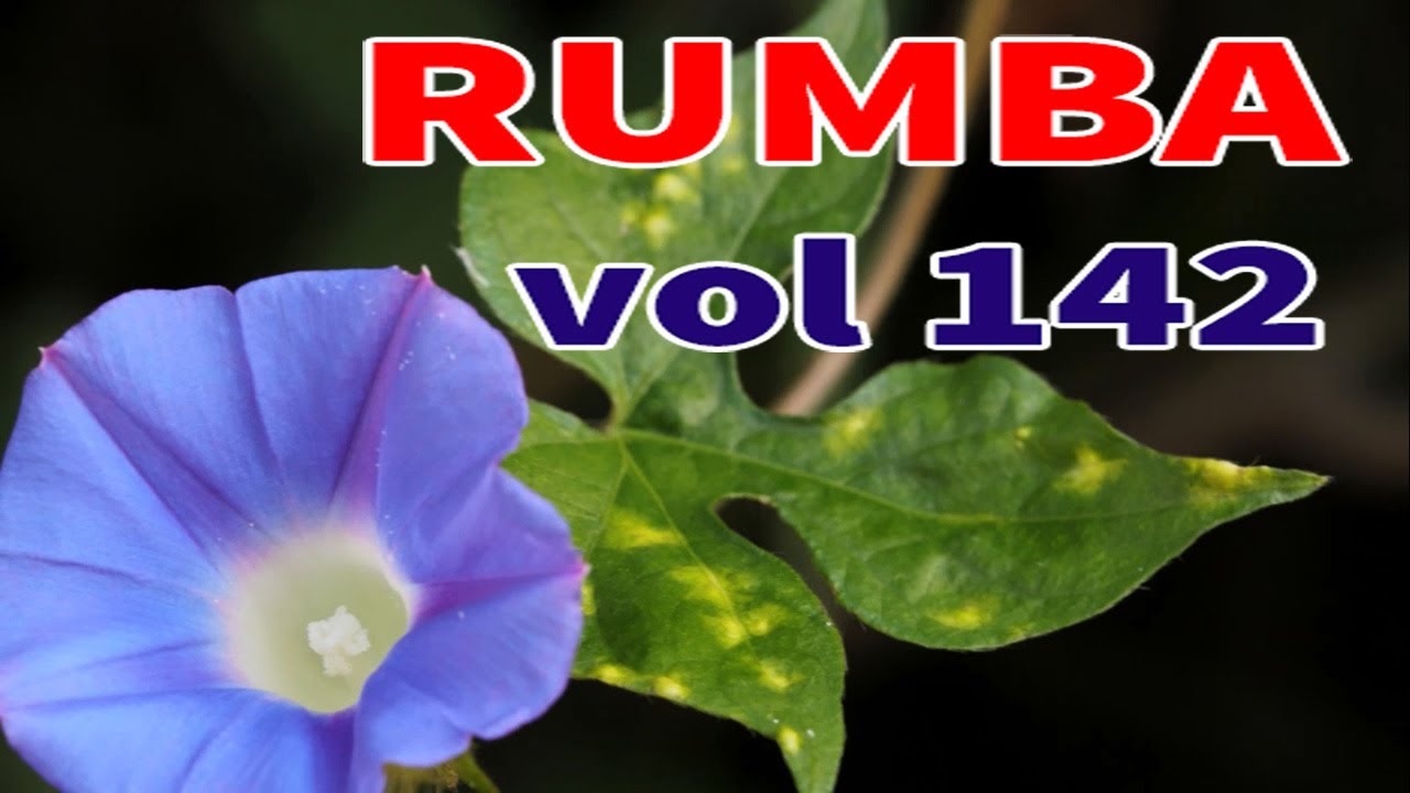Rumba melody, Instrumental Relaxing Music, Soft music for relaxation vol 142