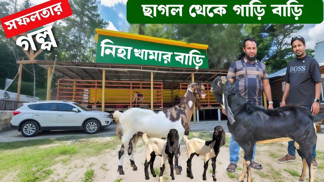 ২৫ বছরের সংগ্রাম! বগুড়ার আরিফ ভাই আজ সফল একজন ছাগল খামারী | অনুপ্রেরণার গল্প Goat Farming 