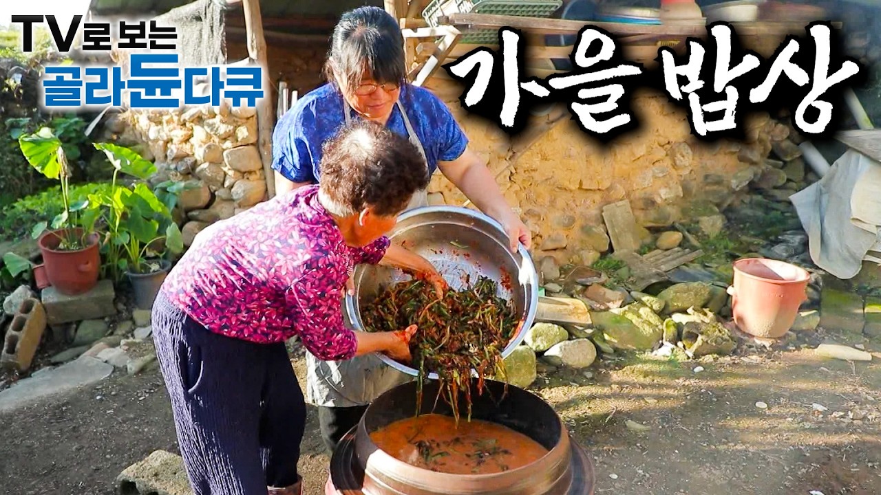 제대로 가을 맛 보여줄 손맛 고수들을 찾아 나선 기행｜가을 내음 가득 담긴 가을 한 그릇｜가을에만 먹을 수 있는 가을 제철 시골 밥상 모음｜한국기행｜#골라듄다큐