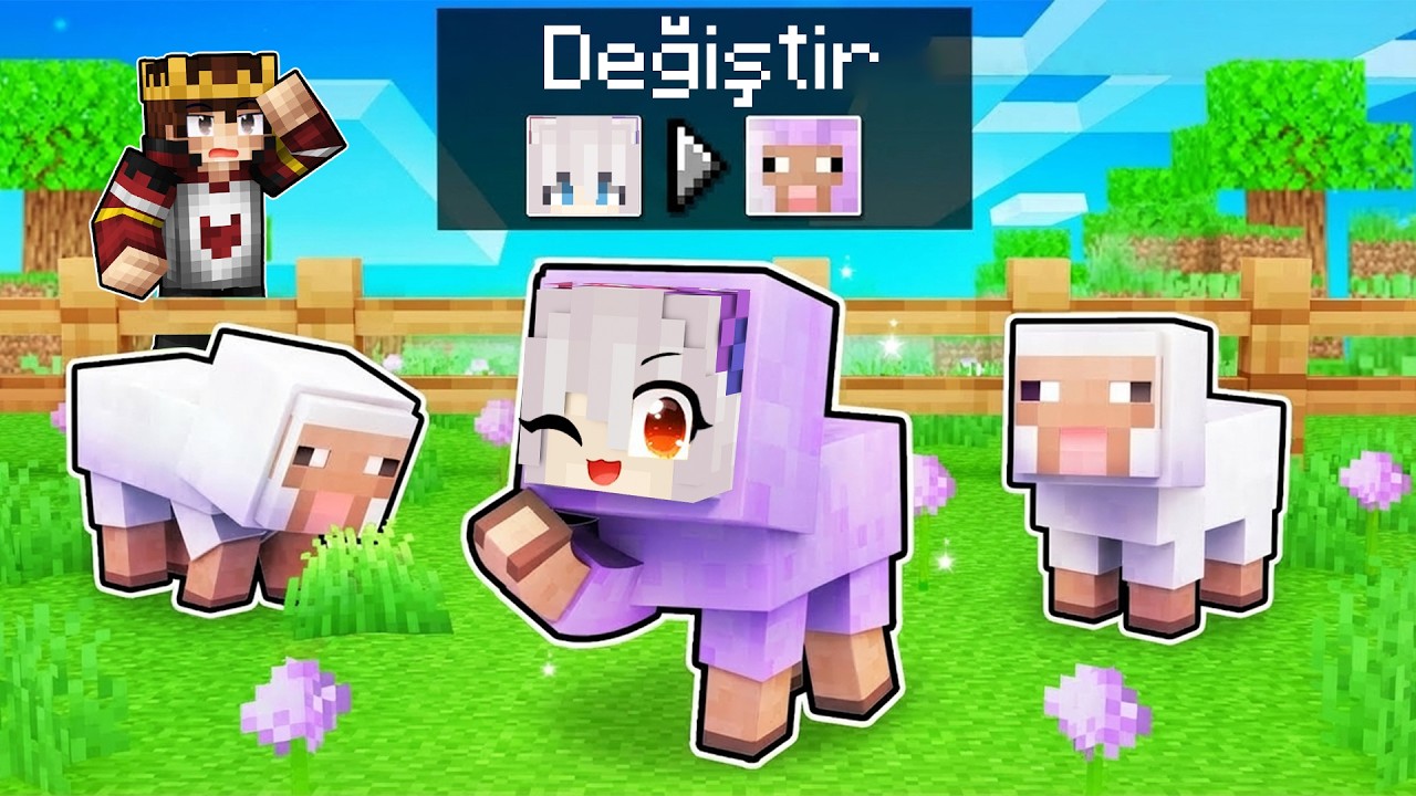 BAYANDOKTOR  VS SAKLAMBA&Ccedil; 😱 - Minecraft