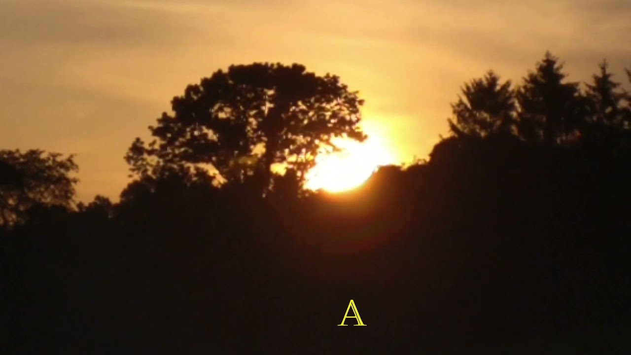 Grassland Sunrise and Walk
