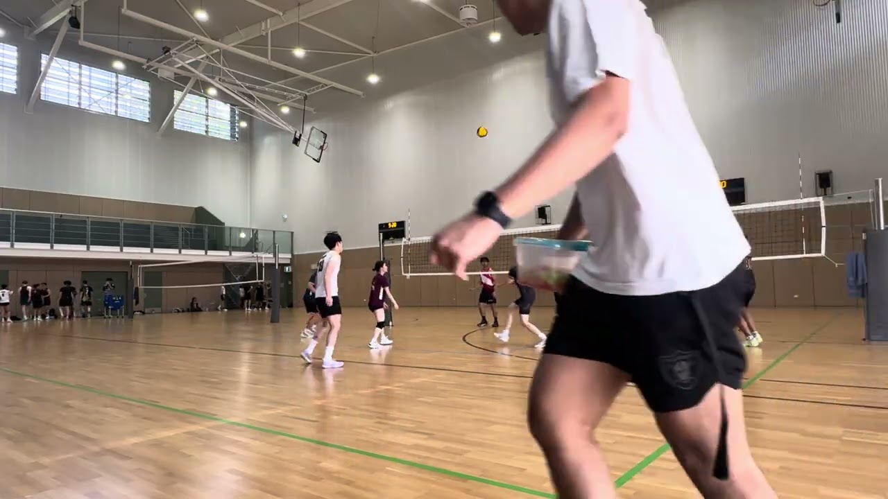 BVC Summer Cup - Shibabies v Chopsticks 