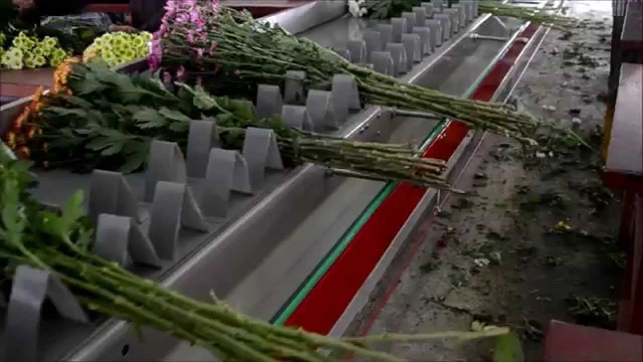 Roofing Belt BTM Flower Processing Machine