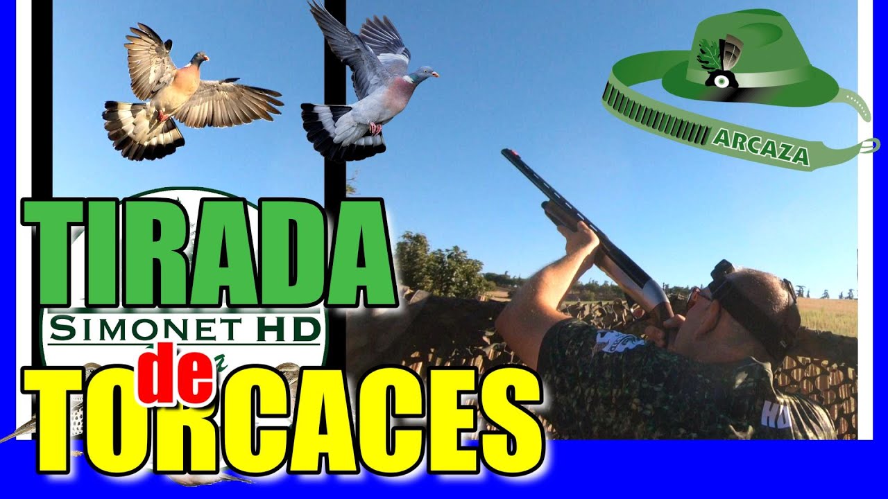 ⏭️​ 𝗠𝗲𝗱𝗶𝗮 𝗩𝗲𝗱𝗮 𝗧𝗢𝗥𝗖𝗔𝗖𝗘𝗦 | 🎥 | Caza de Palomas con ARCAZA