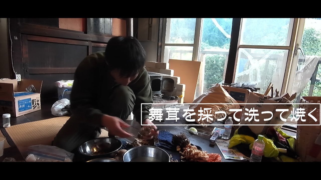 【きのこ狩り】終盤の舞茸狩り　舞茸を採って洗って焼く