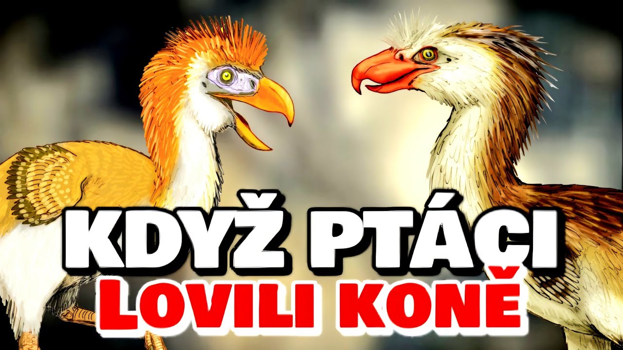 Hrůzoptáci: Vládci Jižní Ameriky ve třetihorách | Bruno