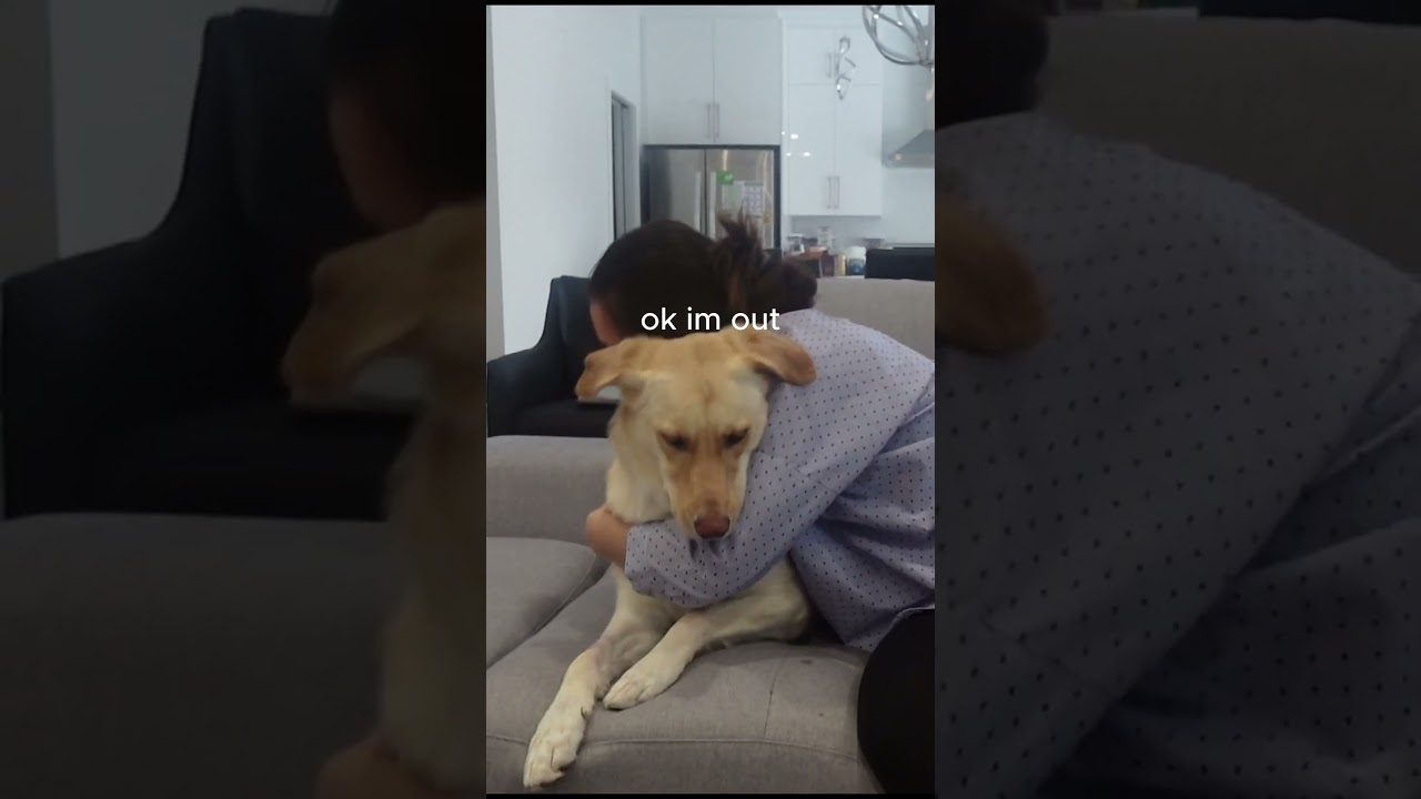 Hugging my Dog for too Long | 