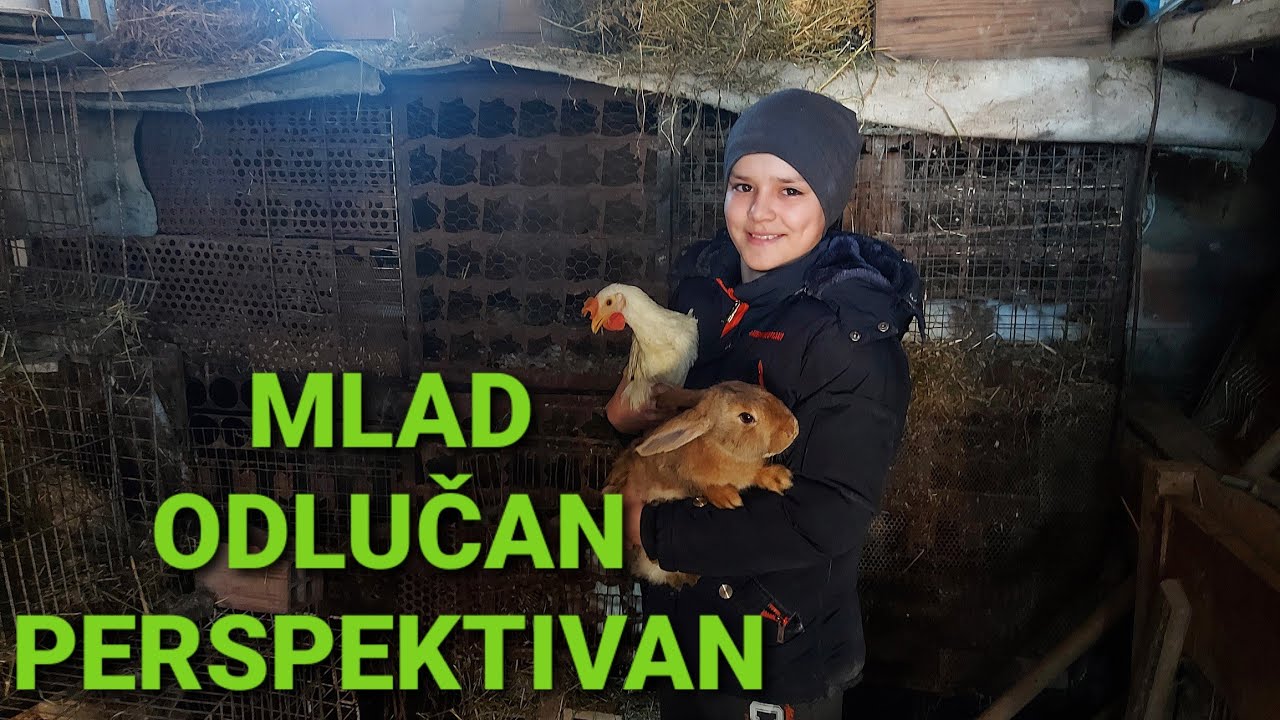 SAN MI JE DA IMAM NAJVEĆU FARMU KUNIĆA U SRBIJI