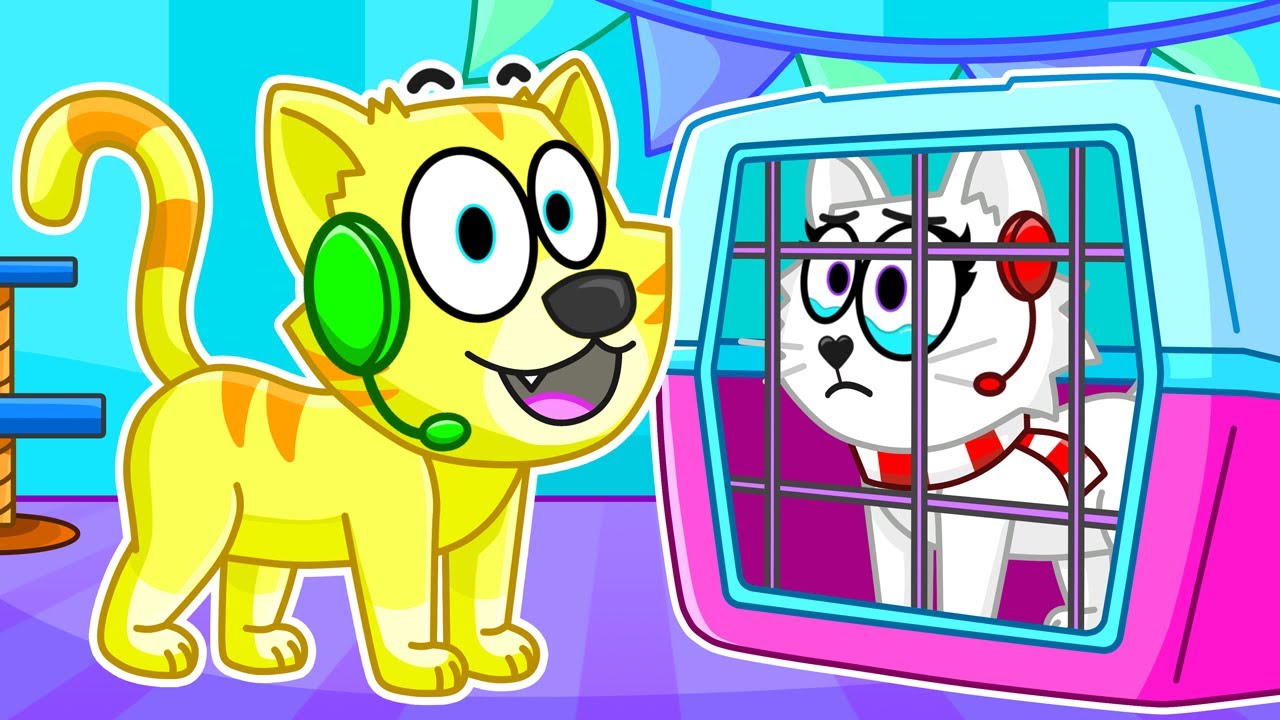 We're CATS in Roblox Hide & Seek!