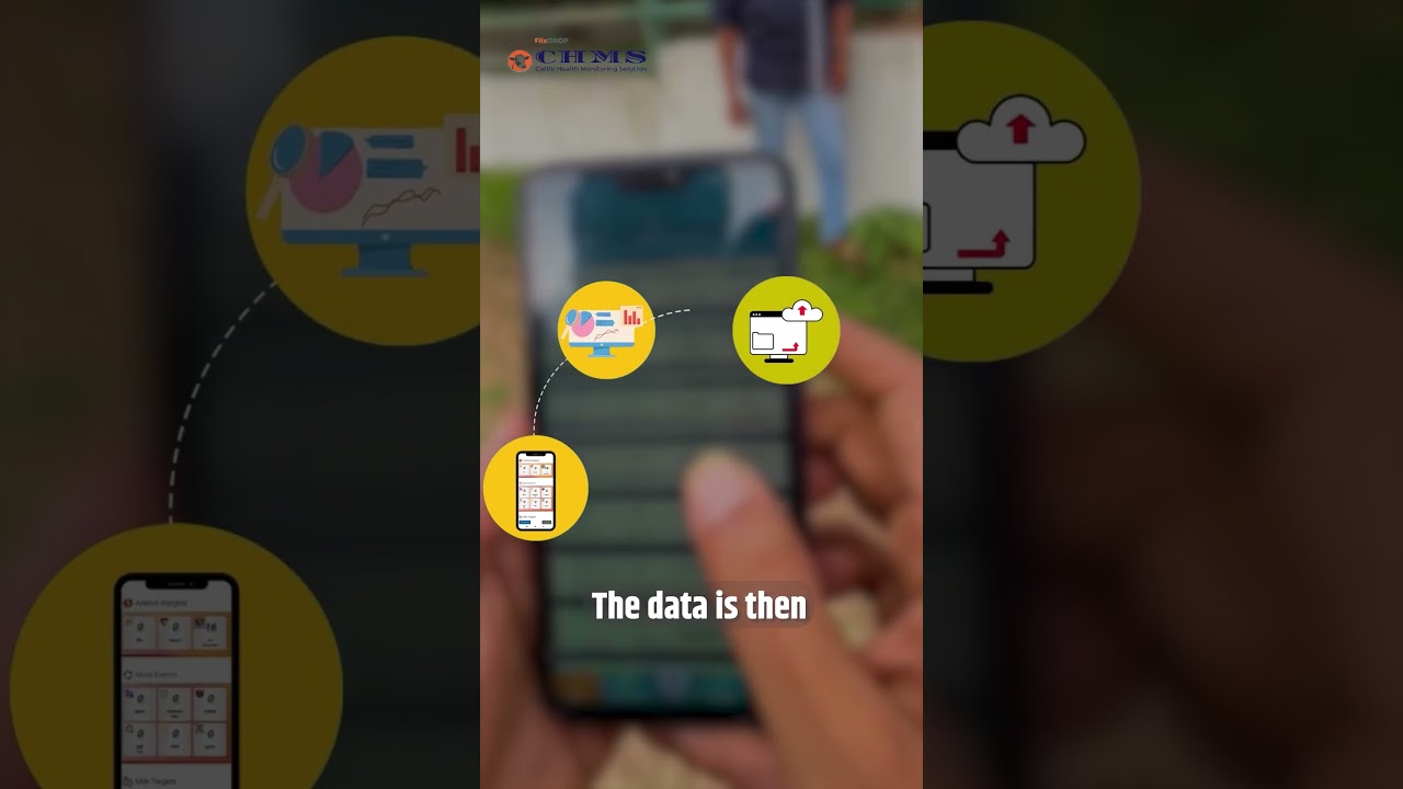 How does cattle health monitoring system work?   #shorts #dairyfarming #gaaybhainswalaapp