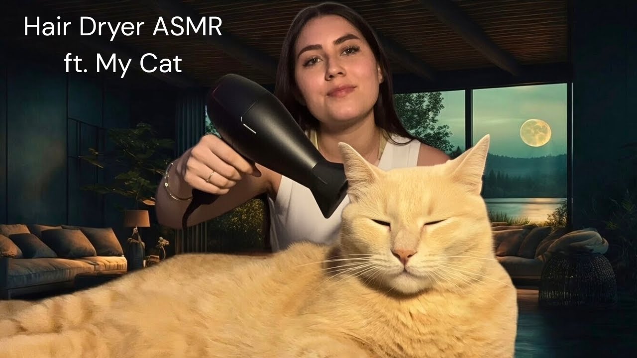 Hair Dryer ASMR with a Very Chill Cat (Sleep in 5 Minutes)