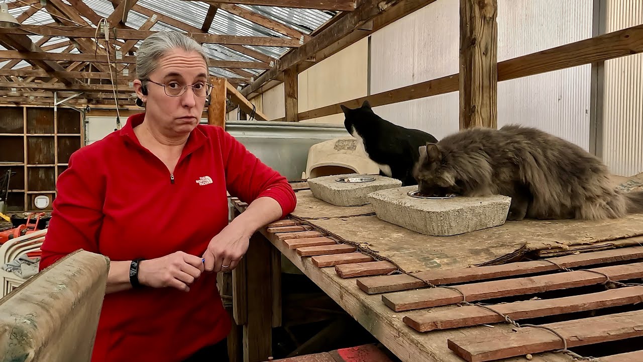 Talking about opossum problems and we get a surprise.