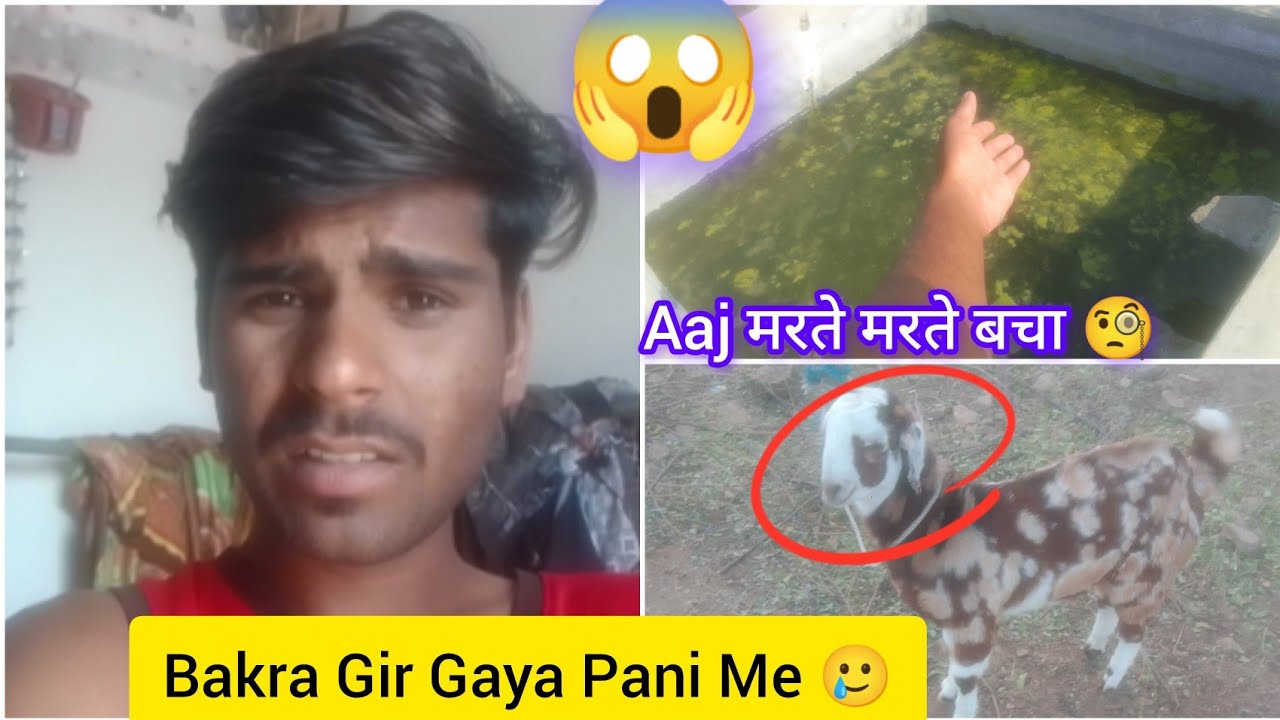 Bakra Pani Me Gir Gaya 🥲