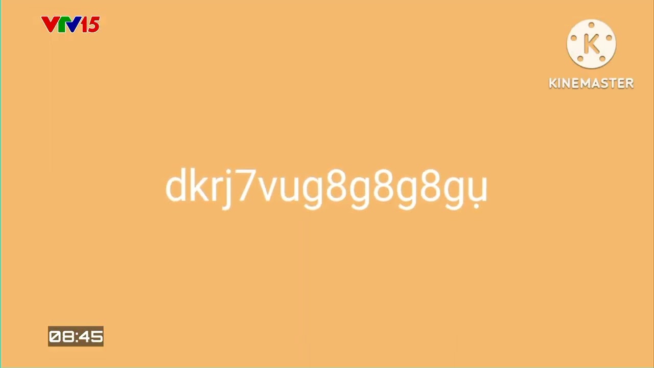 VTV15 2024