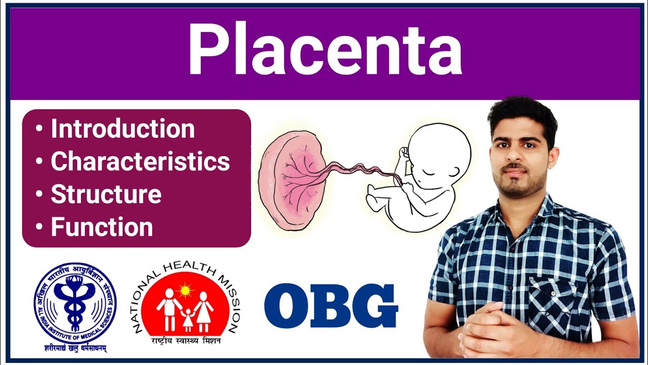Placenta | OBG