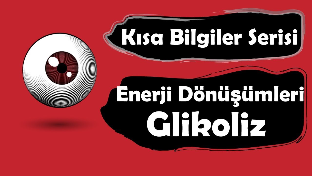 Canlılarda Enerji Dönüşümleri - Glikoliz (Kısa Bilgiler Serisi)
