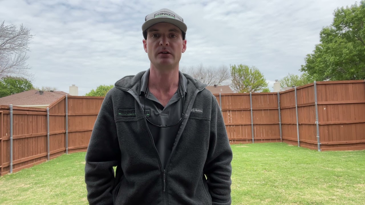 Rat Removal - Frisco