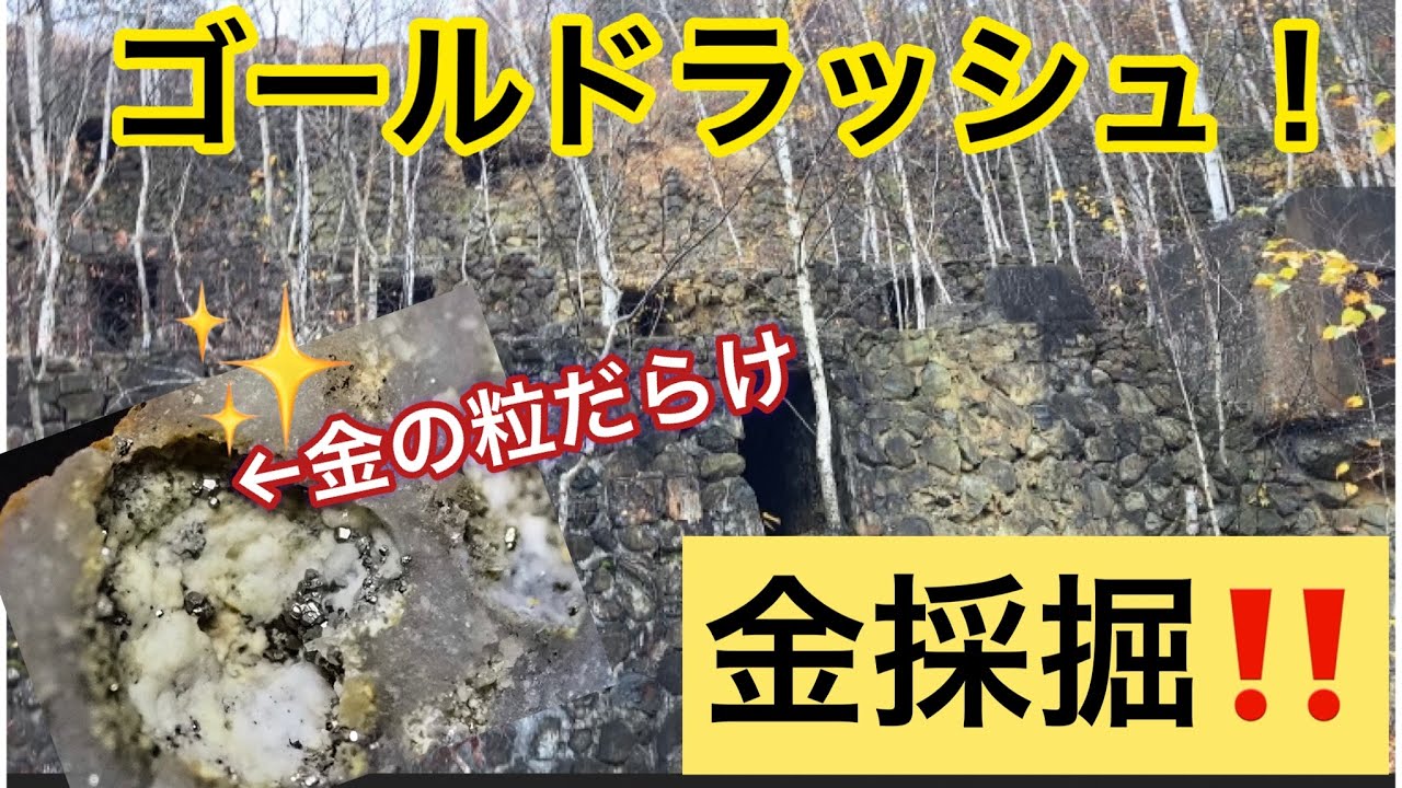 金を採掘してきました！高騰続く金だけと北海道で採掘！ゴールドラッシュ到来✨