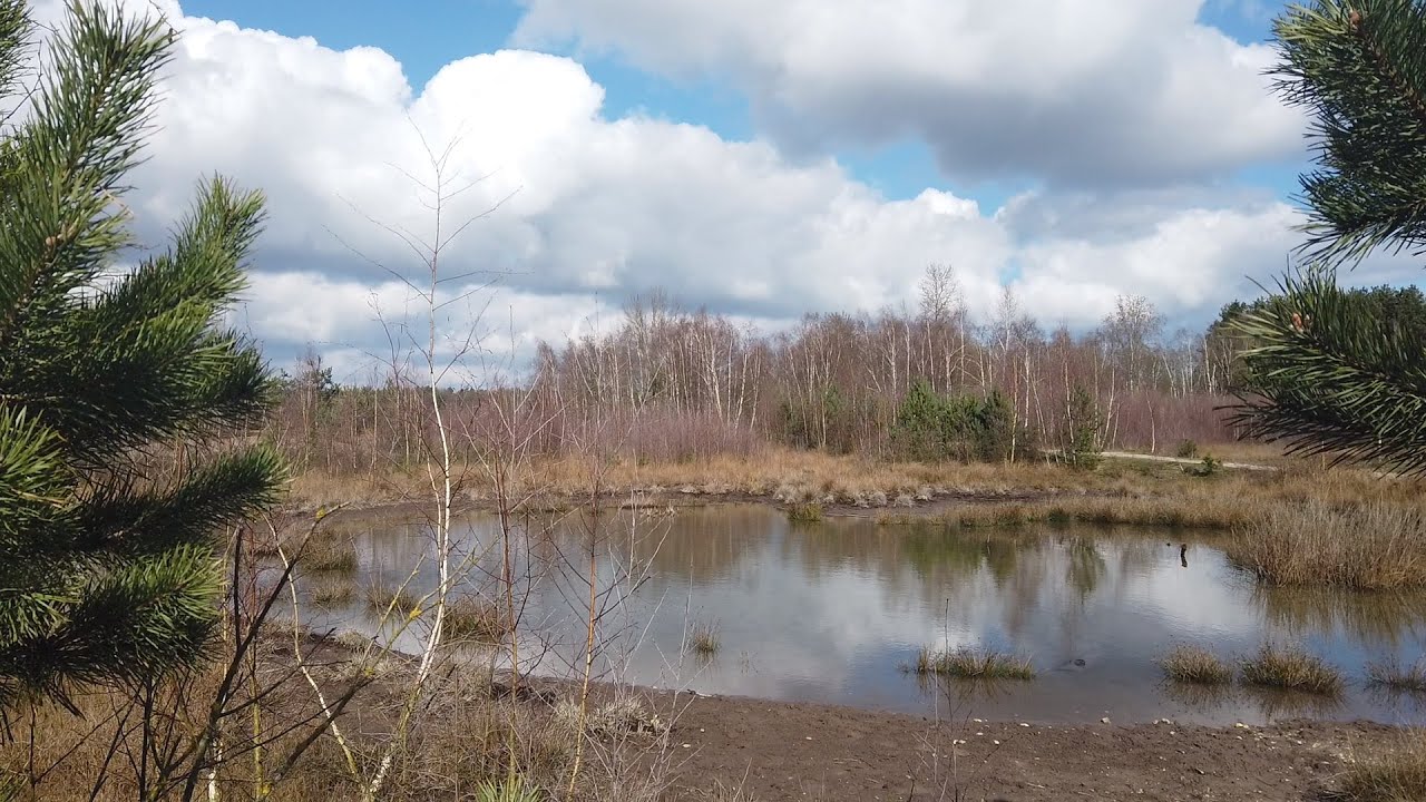 Jenseits von Afrika - 36km von Lüllingen aus durch die Venloer Heide und Moorlandschaft