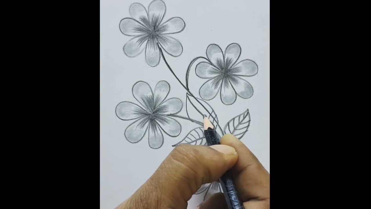 how to draw 3D flowers drawing esaydrawing 3D ফুলআঁকার সহজ পদ্ধতি 