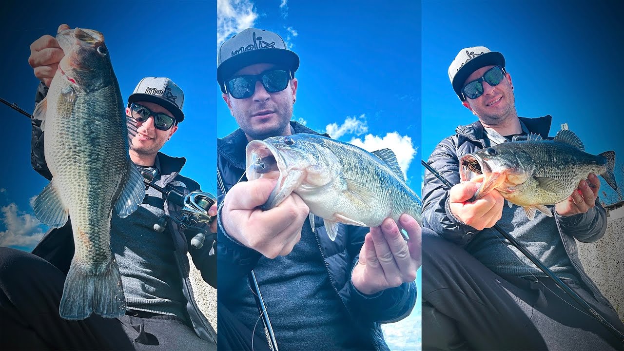 TANTISSIMI INSEGUIMENTI e diverse CATTURE - Pesca al BLACK BASS nel laghetto sotto casa
