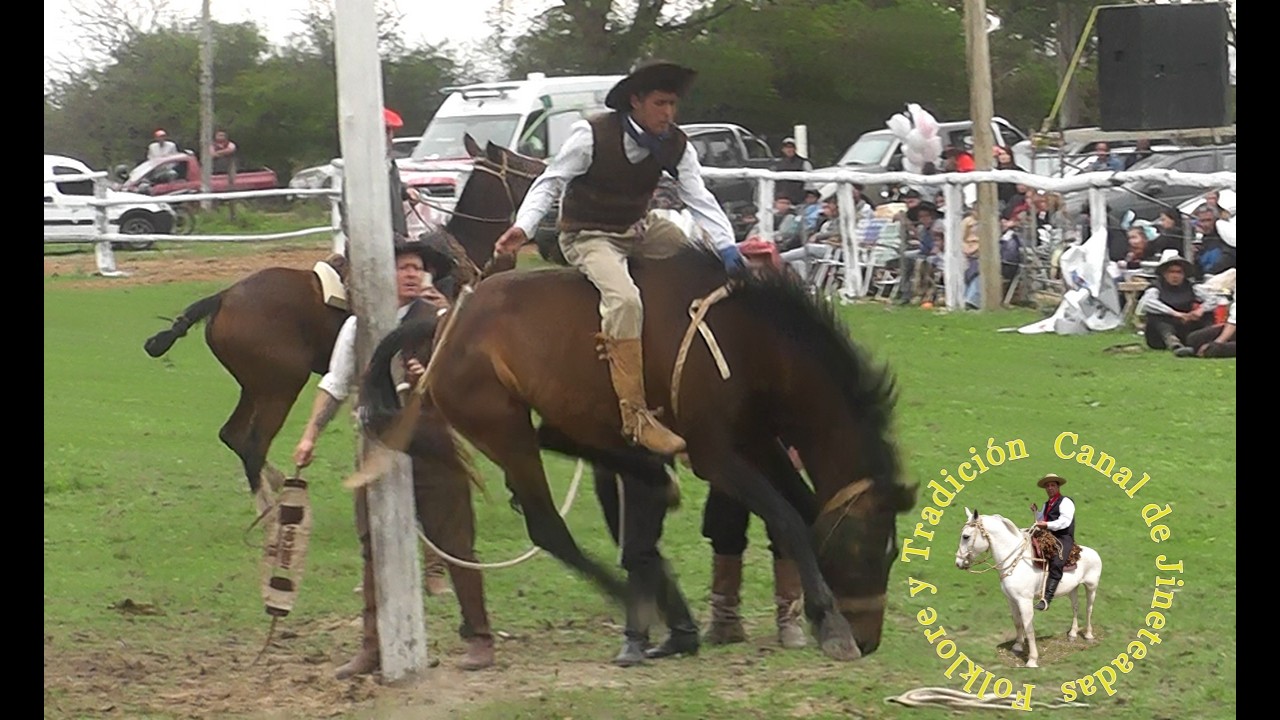 jineteada en San Gustavo 137 años del pueblo #charreada #rodeo#Cowboy #horse videos #ongole bulls