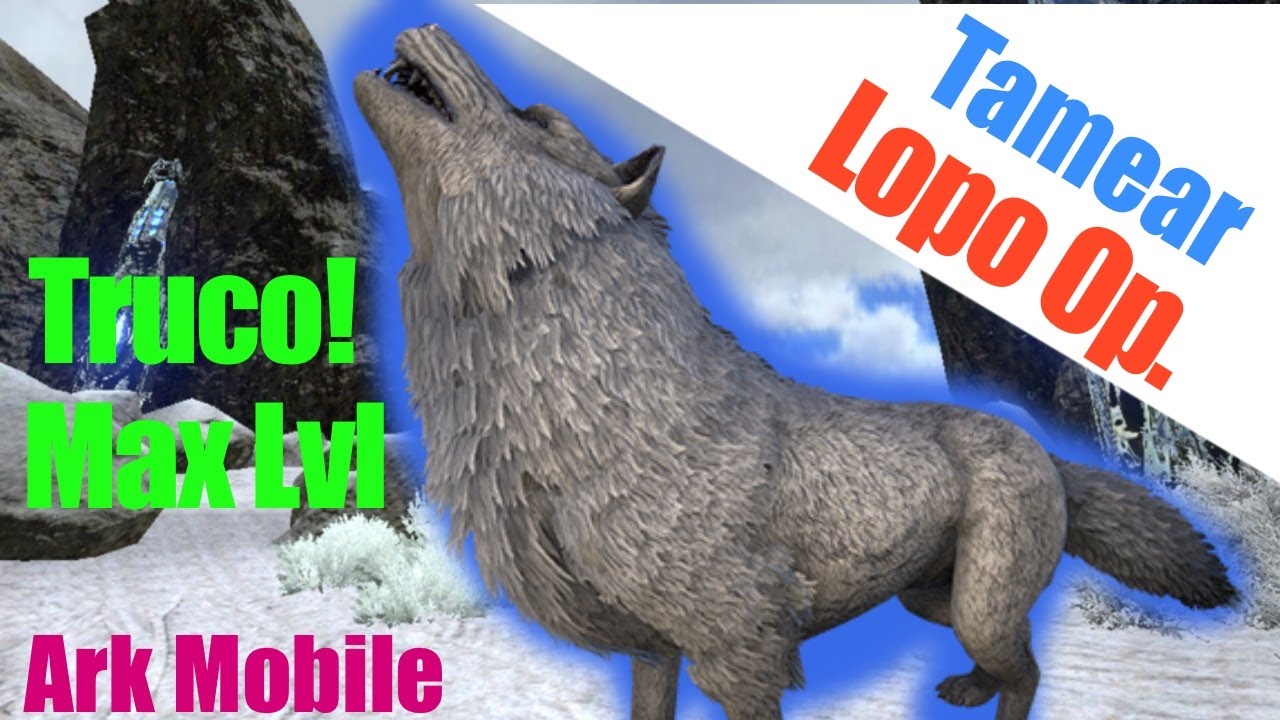 Truco✔️Tamear Lobo de Máximo Nivel!! 🐺 | Ark Mobile