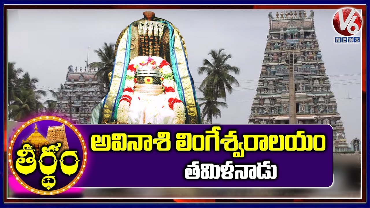 Avinashi Lingeswarar Temple History And Facts |  Tamil Nadu | Theertham | V6 News