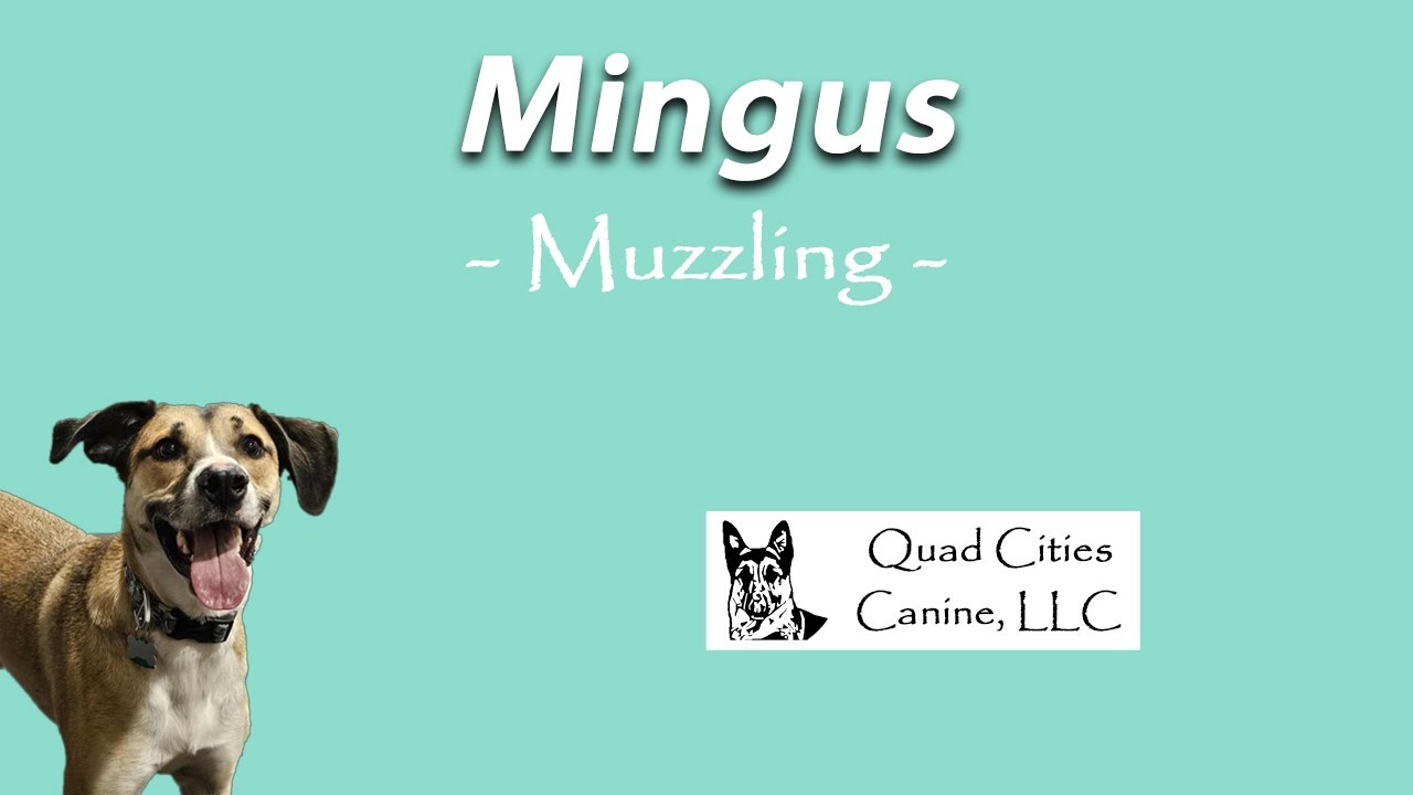 Mingus - Muzzling