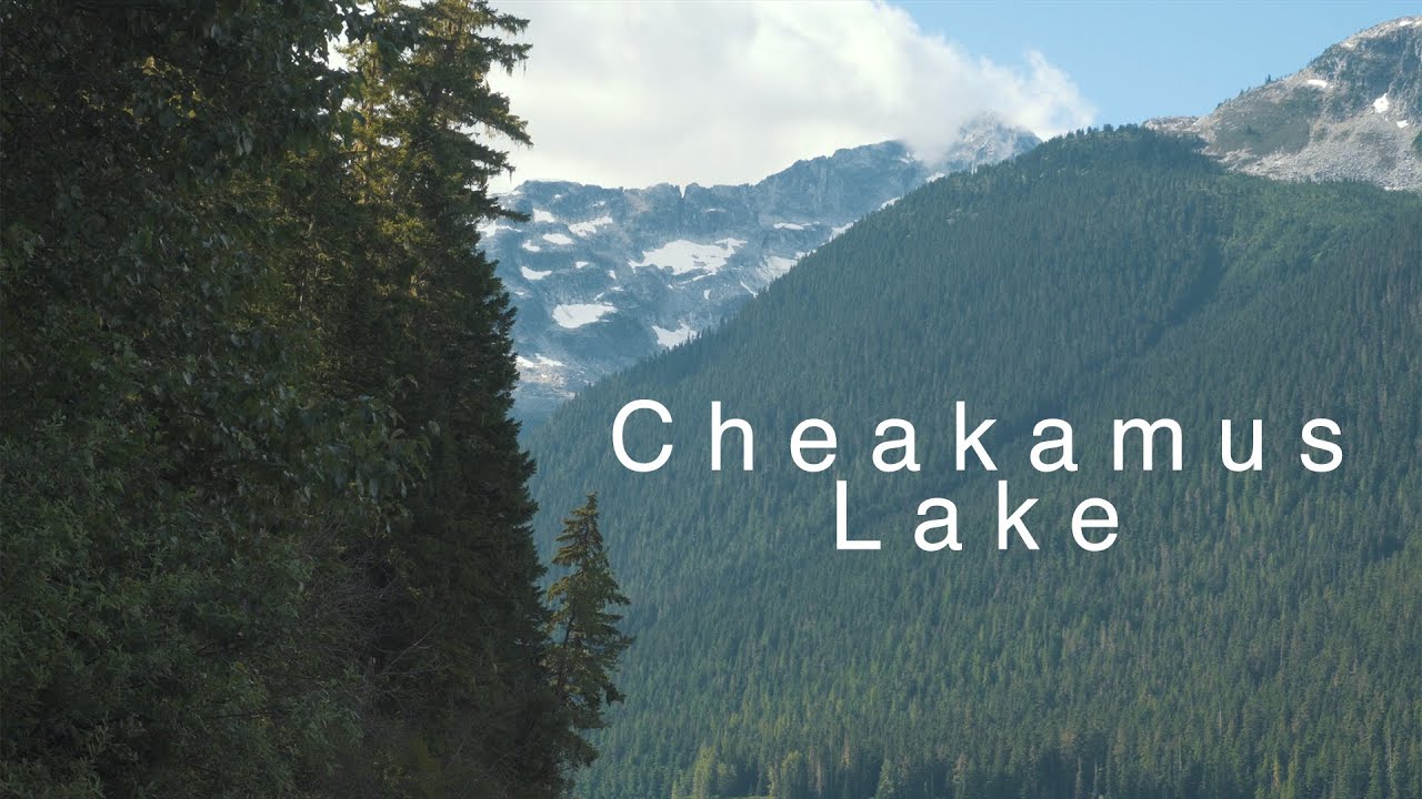 Не сиділось вдома. Сходили в коротенький похід на Cheakamus Lake, Garibaldi Provincial Park, Канада