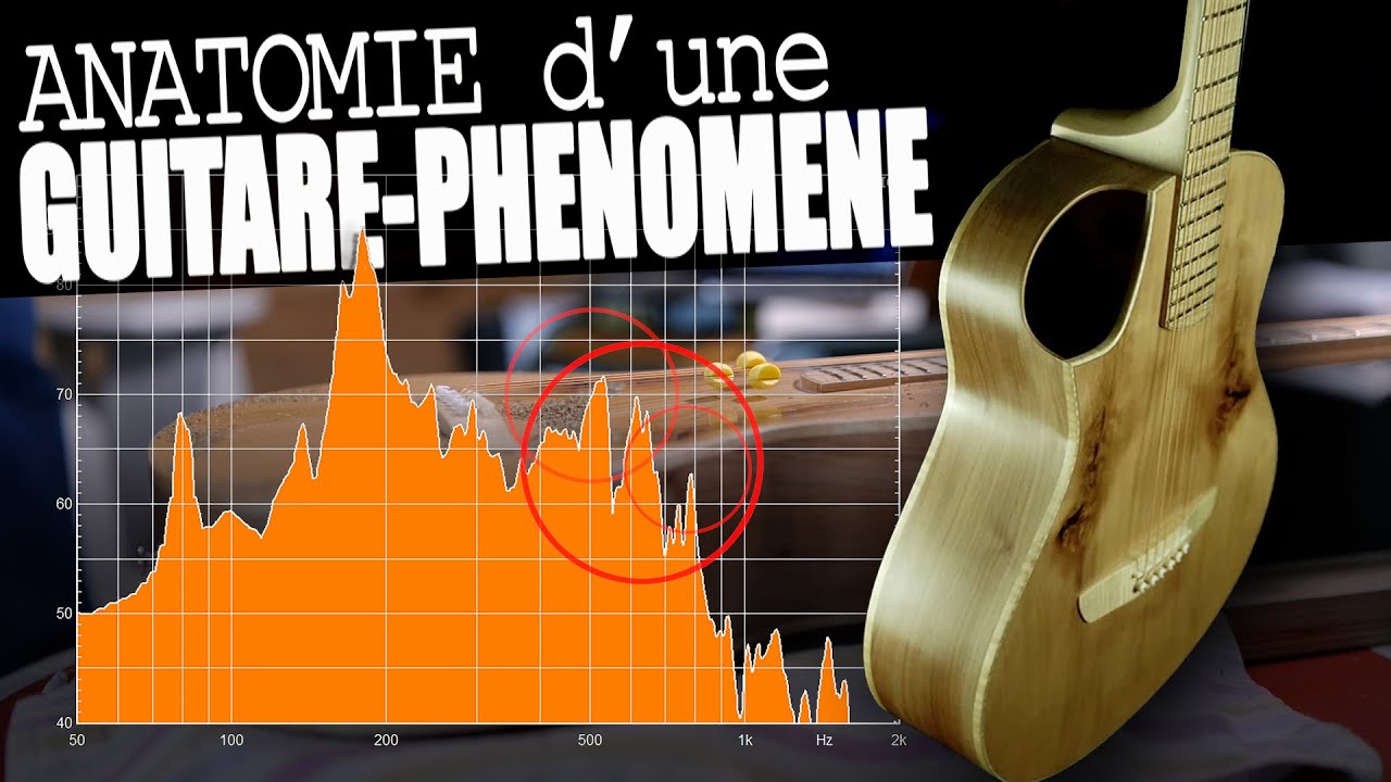 KOPO DUBLIN - UNE GUITARE HORS NORMES
