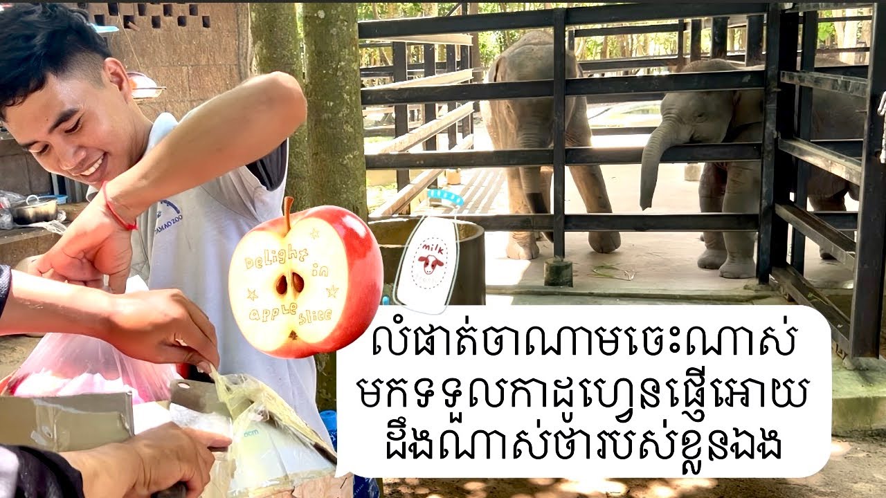 លំផាត់ចាណាមចេះណាស់មកទទួលកាដូហ្វេនផ្ញើអោយដឹងណាស់ថារបស់ខ្លួនឯង, lomphat chanam knowing gift was theirs