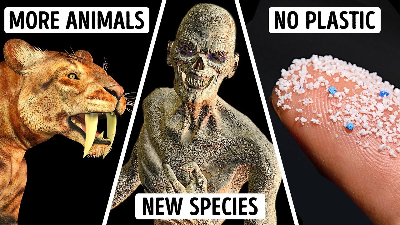 If Humans Never Appeared, What Creature Rules Earth?