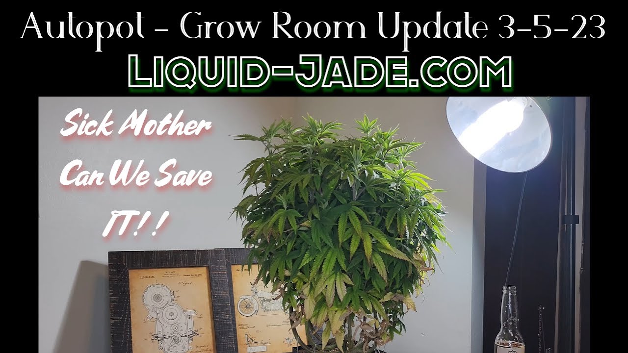 Autopot  - Grow Room Update 3-5-23