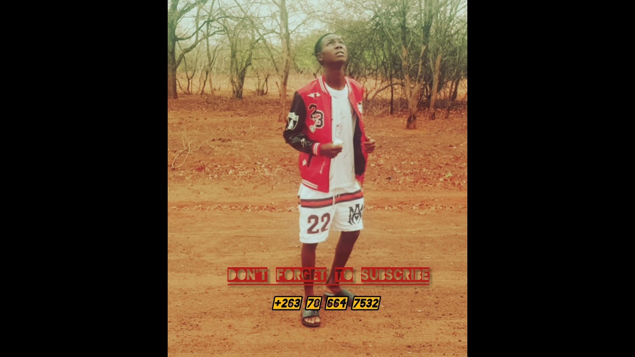 Saka ungabona suzithanda( Official Audio) Iron Q ndebele dancehall