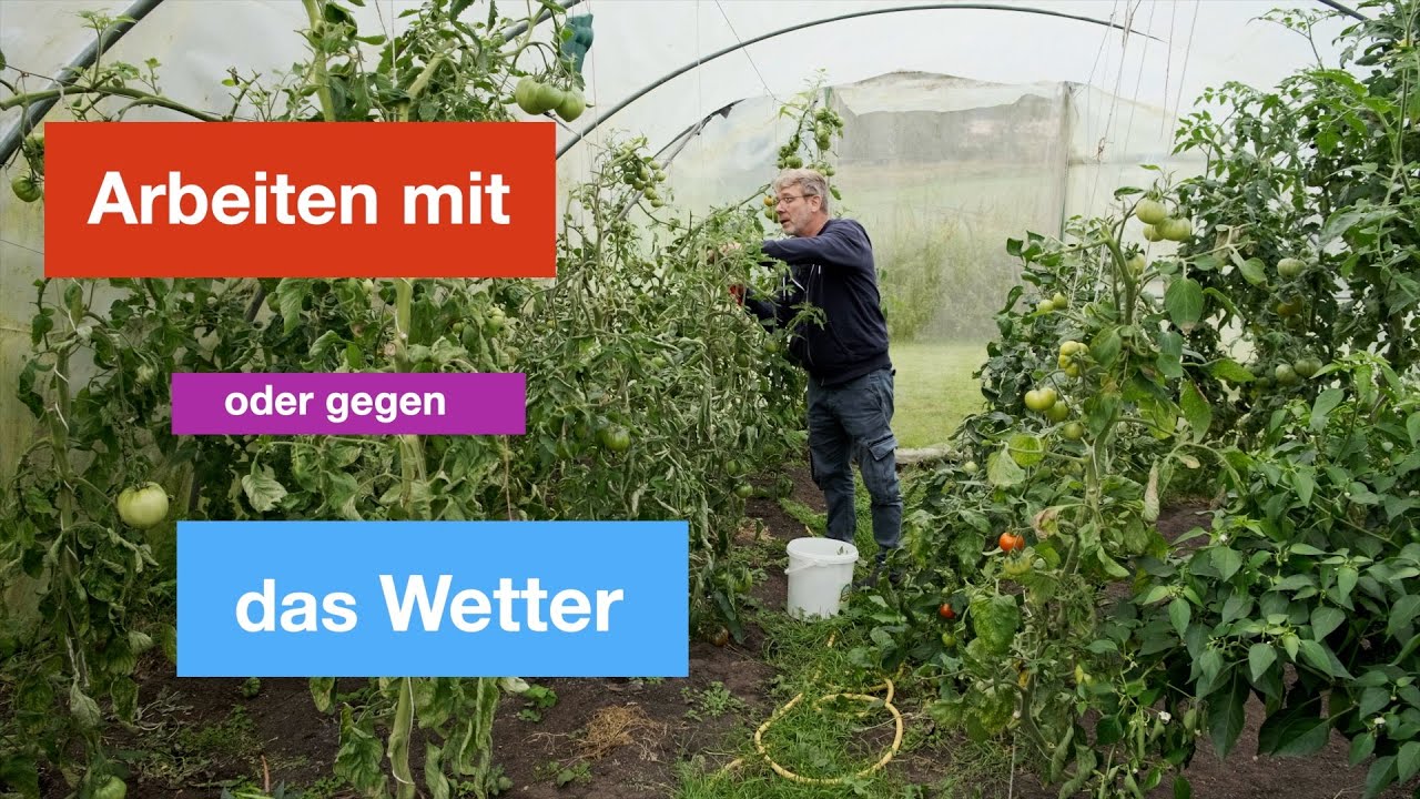 Im Garten arbeiten, mit oder gegen das Wetter?