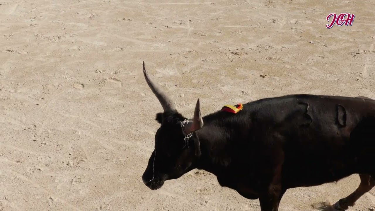 14 Juillet au GRAU du ROI