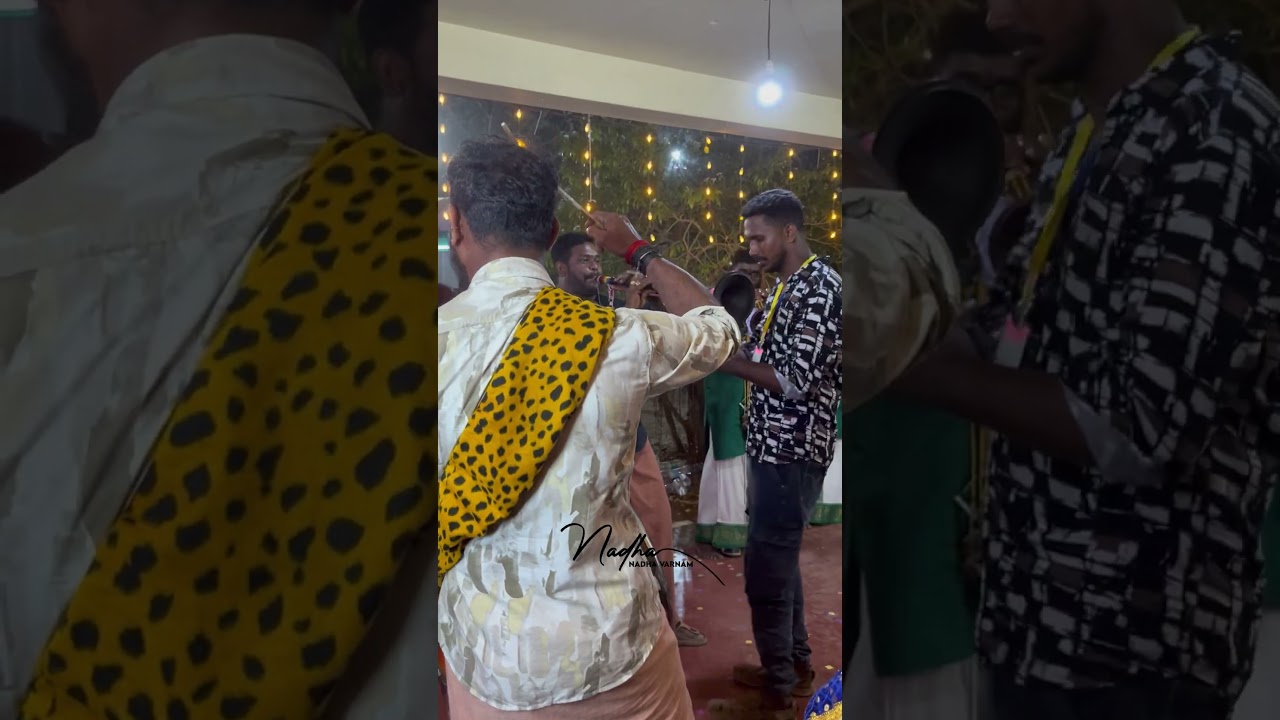 ആനയിറങ്ങും മാമലയിൽ | Nadhaswaram | Thrissur Brothers | Edakulam Brothers | Kavidi | നാദസ്വരം