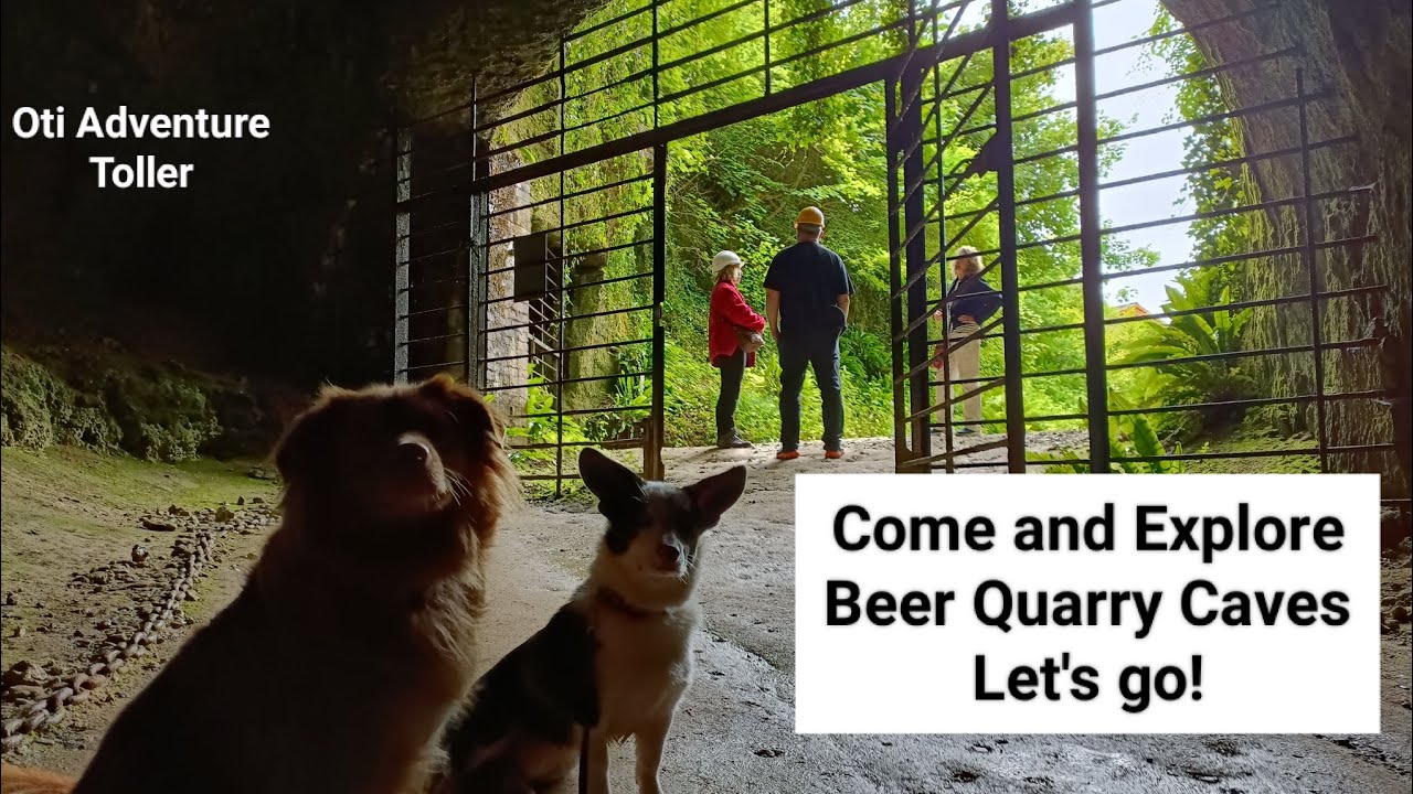 Beer Quarry Caves, Devon, UK - take a virtual tour with Oti and Merlin, highly recommended!