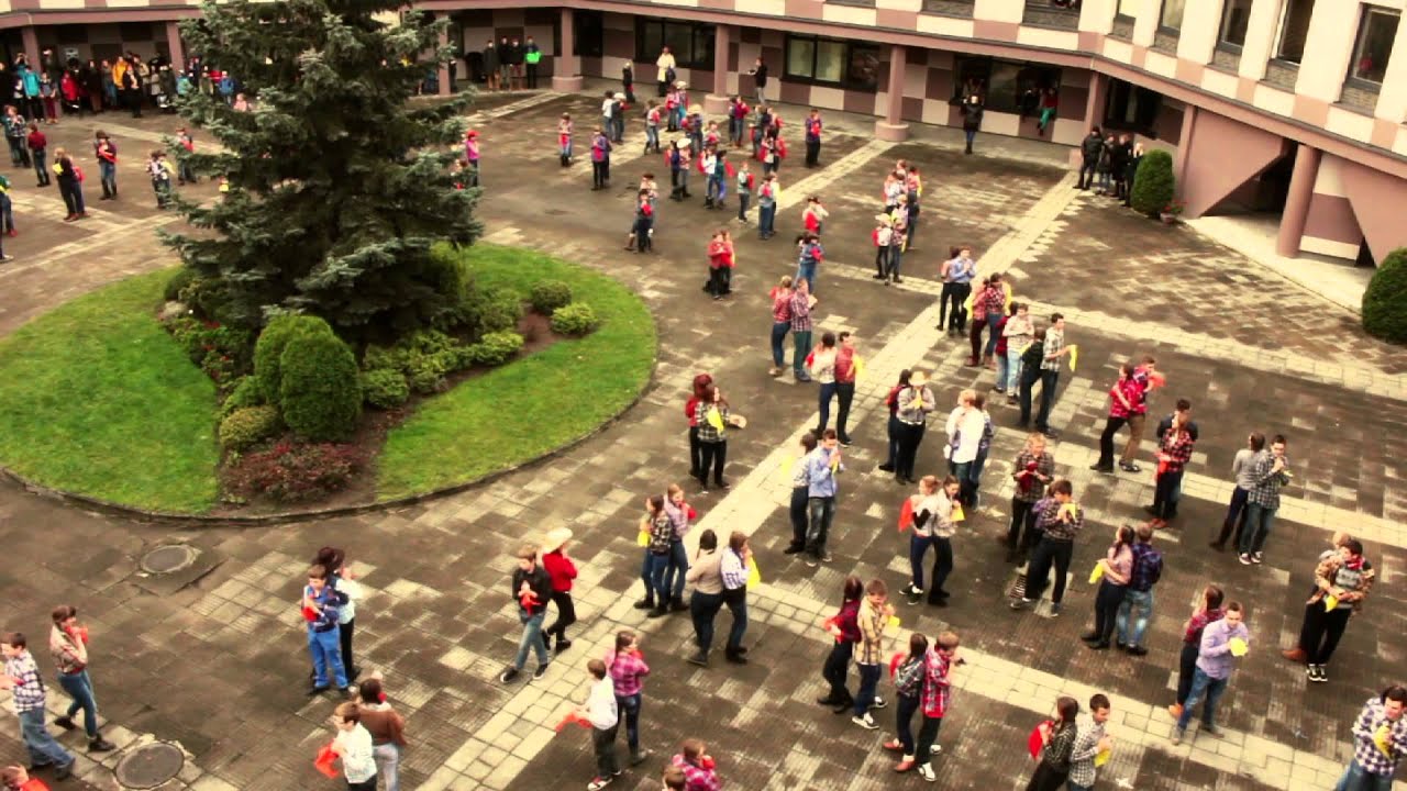 Flashmobas 2013 Vilniaus Gabijos Gimnazija