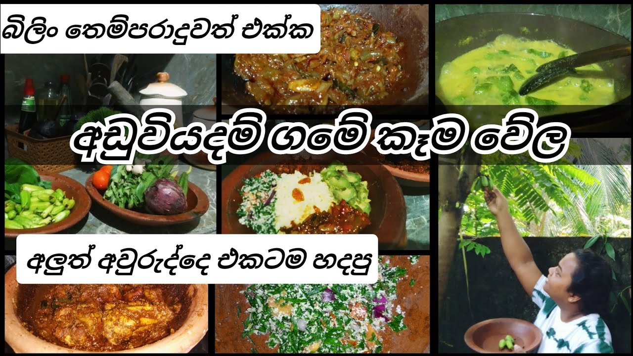 දවල්ට උයමු💛අලුත් අවුරුද්දෙ අලුත් වලං වල🧡බිලිං තෙම්පරාදුව| නිවිති සම්බෝල| වැටකොළු කිරට| චිකන් කරිය