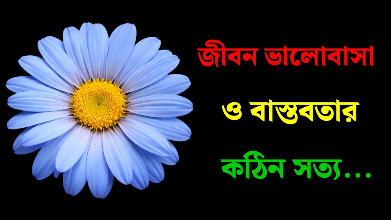 জীবন ভালোবাসা ও বাস্তবতার কঠিন সত্য | Heart Touching Emotional Speech